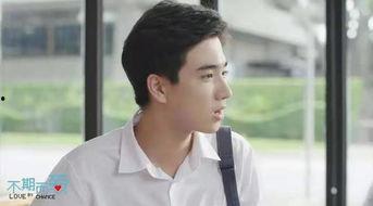 上瘾第十四集在线观看,情感漩涡中的抉择与救赎 第3张 上瘾第十四集在线观看,情感漩涡中的抉择与救赎 第3张